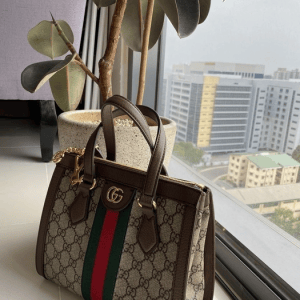 Rainbow Handbag